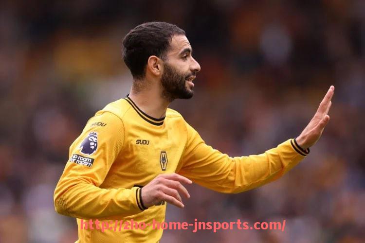 江南综合体育-汉诺威96为何在德甲赛季降级?球队战绩复盘