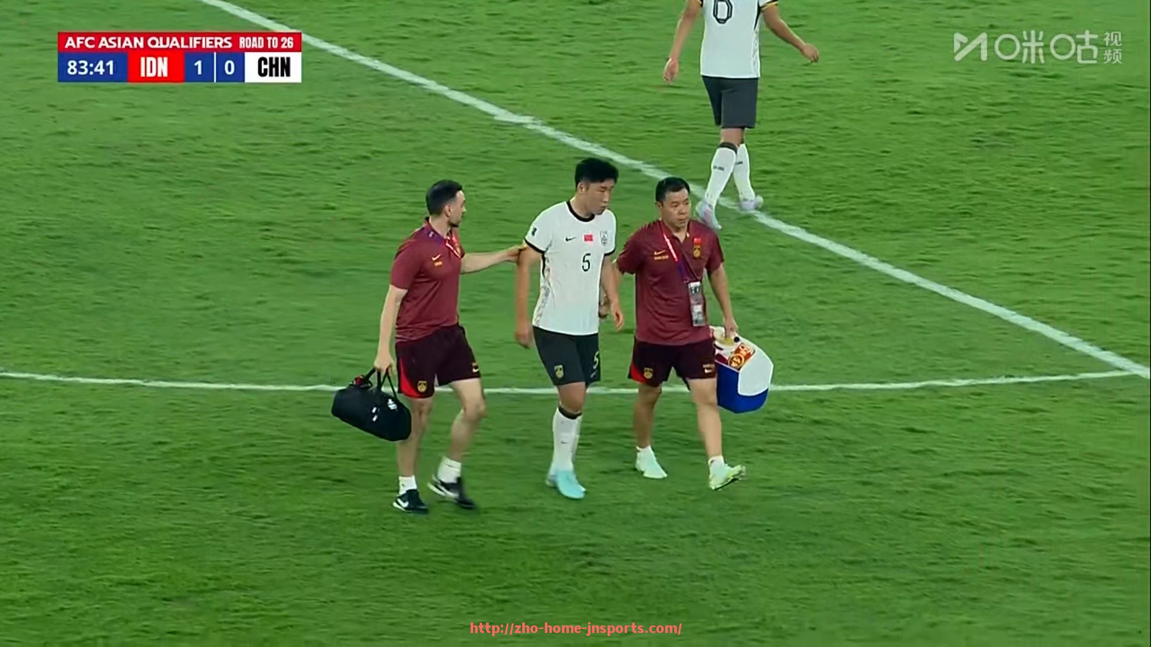 江南综合体育-汉诺威96为何在德甲赛季降级?球队战绩复盘