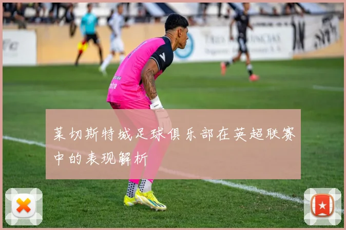 莱切斯特城足球俱乐部在英超联赛中的表现解析